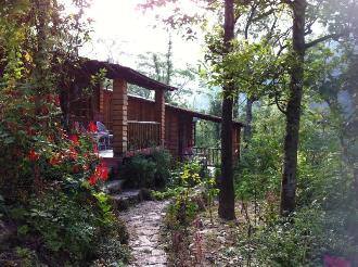 Tathagata Farm, Darjeeling 1
